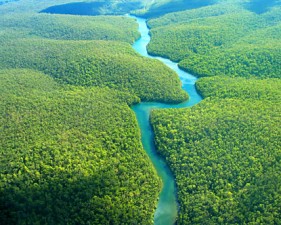 amazonas