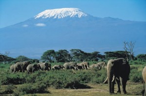 amboseli